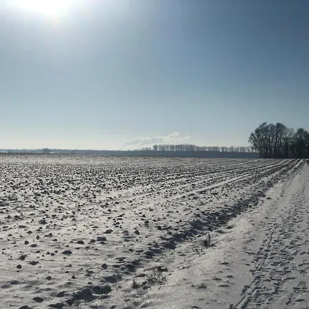 Restaurant Krone 4* Hayna (Rhineland-Palatinate)