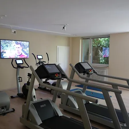 Krone Hotel Hayna (Rhineland-Palatinate)