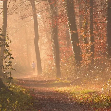 ホテル Krone Hayna