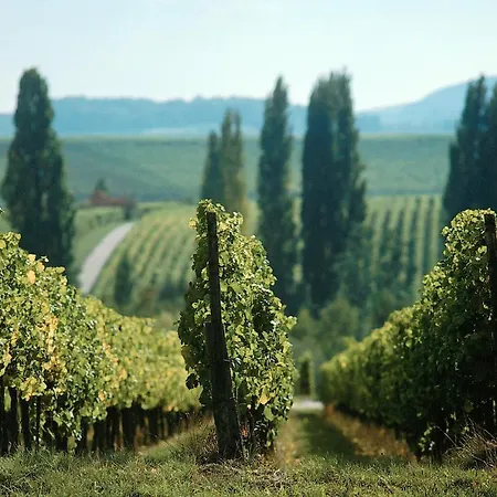 Krone 4* Hayna (Rhineland-Palatinate)