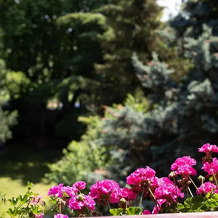 호텔 Restaurant Krone 4*