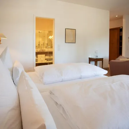 Restaurant Krone Hotel 4*