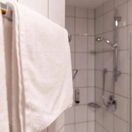 Krone Otel 4*